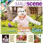 Maui Scene